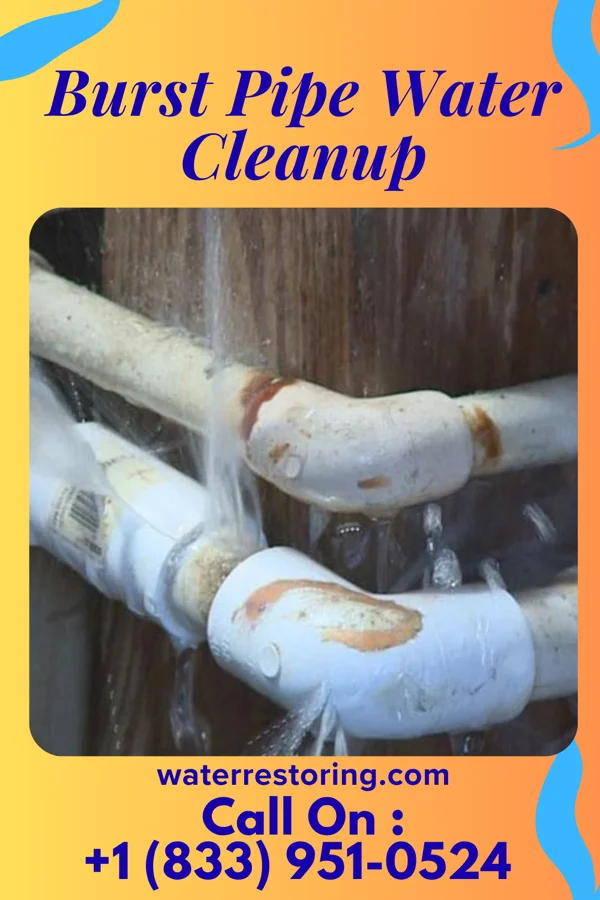 Burst Pipe Water Cleanup in Blue Knob, PA