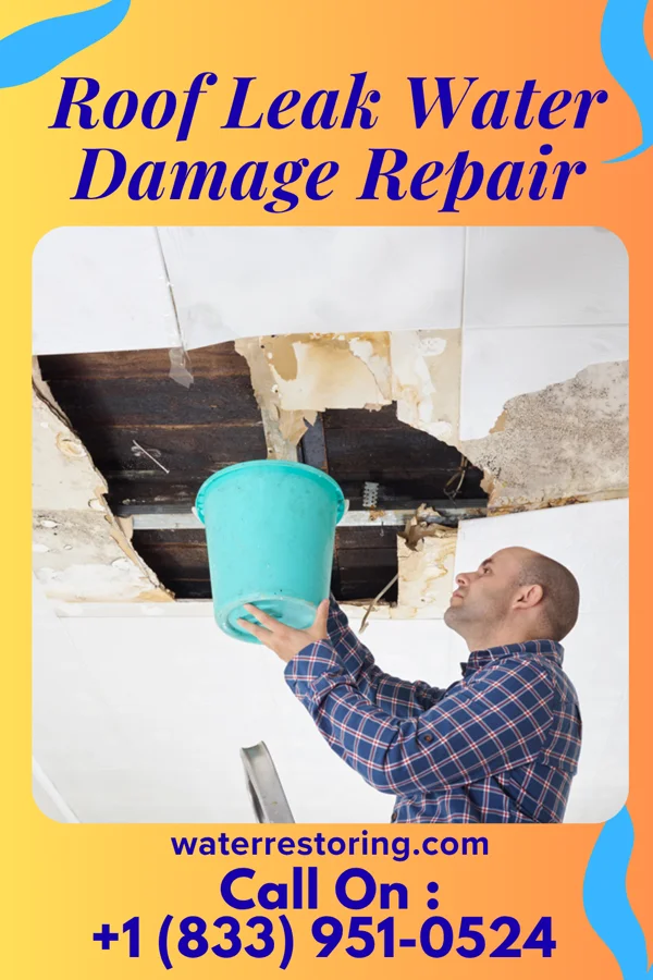 Roof Leak Water Damage Repair in Blue Knob, PA