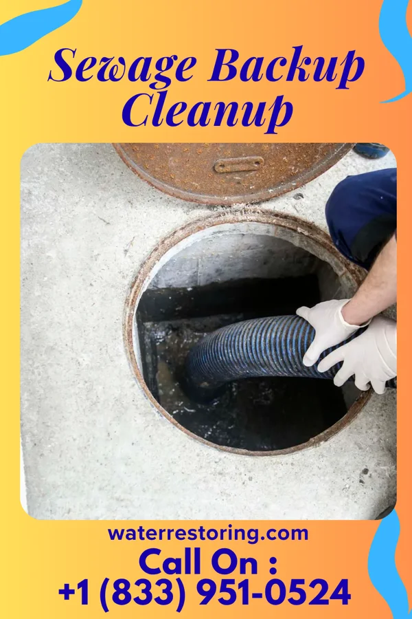 Sewage Backup Cleanup in Blue Knob, PA