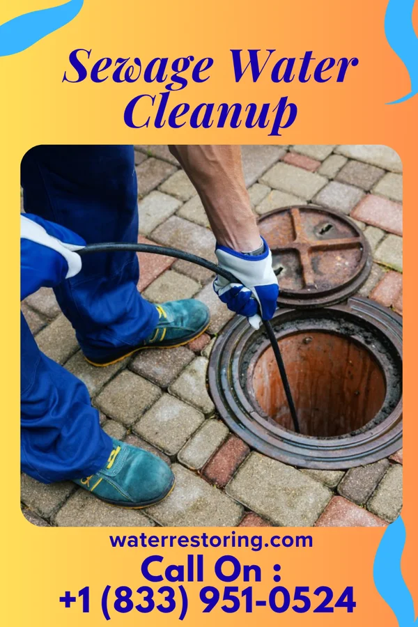 Sewage Water Cleanup in Blue Knob, PA